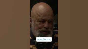 DO NOT repeat command #dogobedience #dogtraining #gsds #malinois