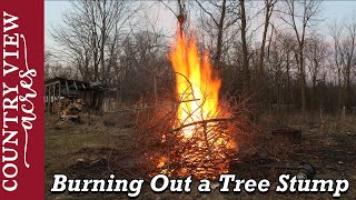 Burning Out a Huge Tree Stump