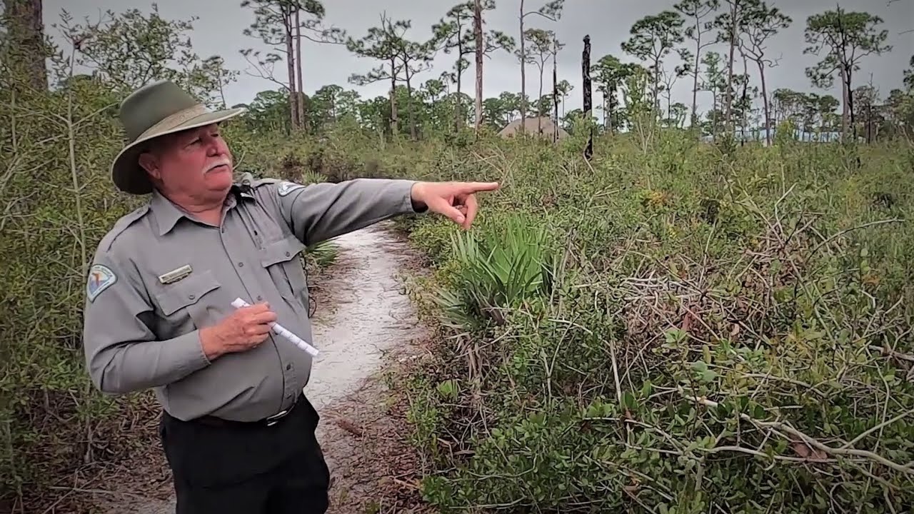 Jonathan Dickinson State Park - River Walk Ranger Tour - YouTube