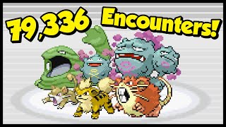 How many shinies does 79,336 encounters get you?