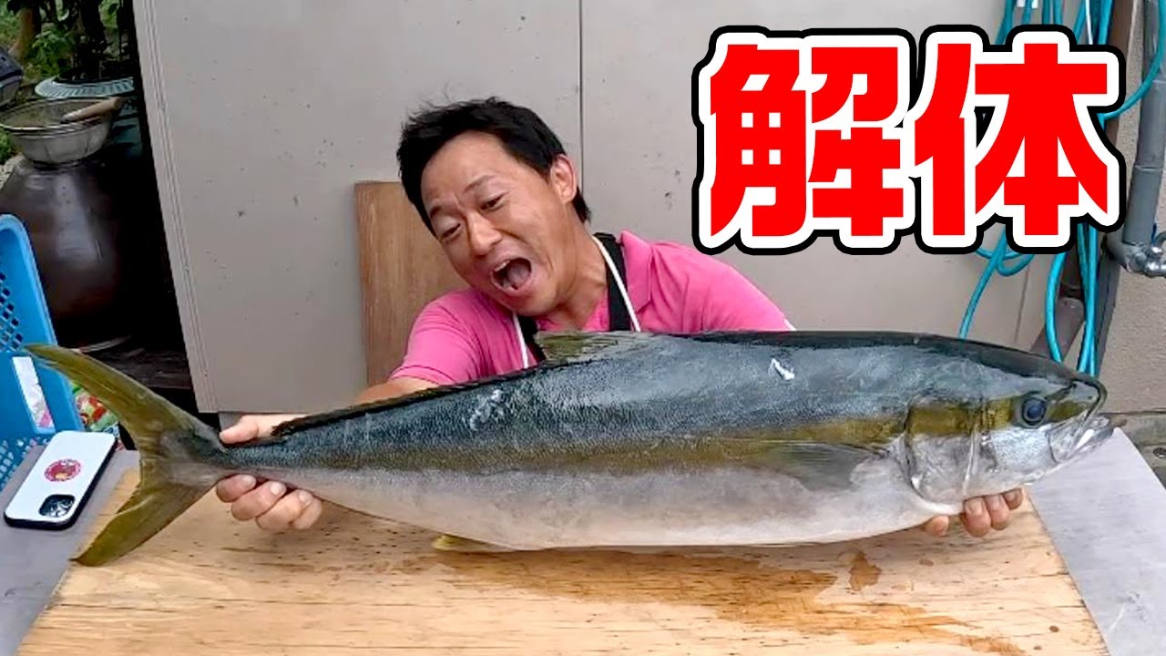 秋のヒラマサ解体