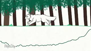Wolf run test #drawing #art #animation #wolf