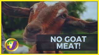 Goat Shortage Hits Christmas Plans | TVJ News