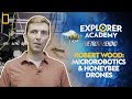 Insect-Inspired Robotics and Testing Challenges