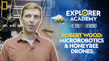 Robert Wood: Microrobotics and Honeybee Drones | Explorer Academy: The Truth Behind