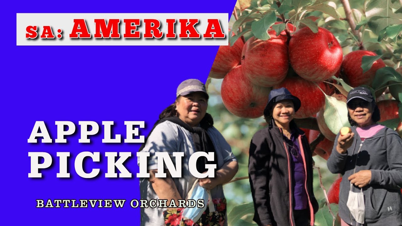 apple-picking-battleview-orchards-youtube