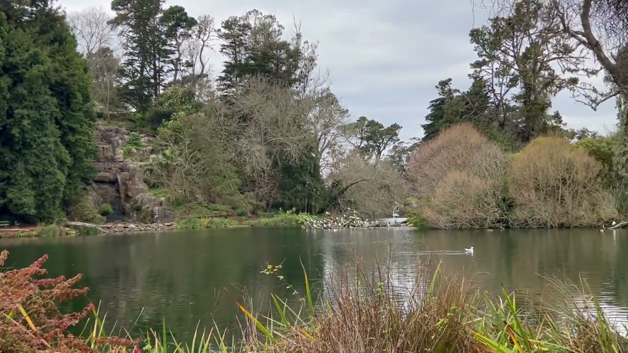 Filipino Life in the USA! Exploring California 