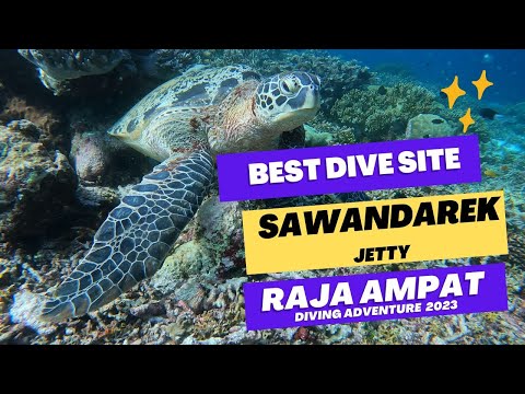 Discovering Raja Ampat's Sawandarek Jetty: A Diving Expedition among the Coral Reefs and Turtles