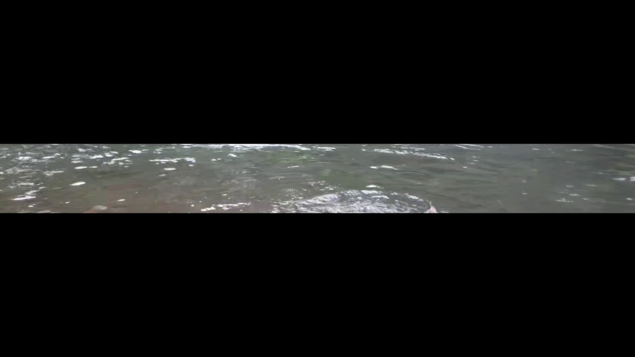 sensasi mancing hampili