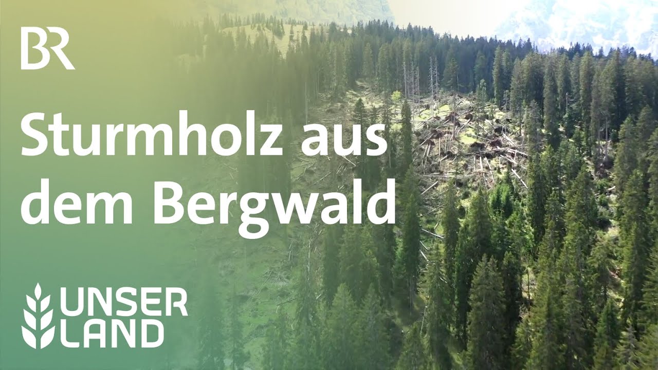 Sturmholz aufarbeiten im Bergwald | Unser Land | BR Fernsehen