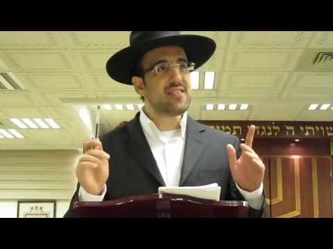 הרב מאיר אליהו | הלכות נופש | משכן יהודה - ה'תשע"ו