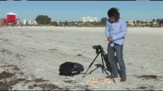 Photographing Pattern with Bryan Peterson Photographing Pattern with Bryan Peterson