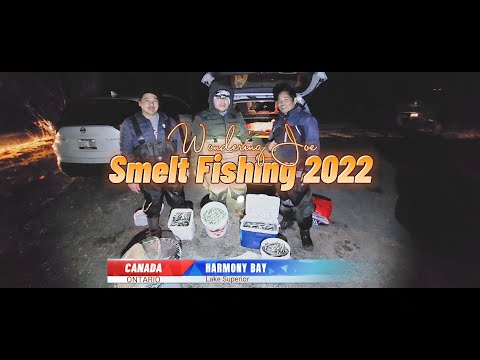 Video: Apakah Anda memerlukan izin memancing untuk smelts?