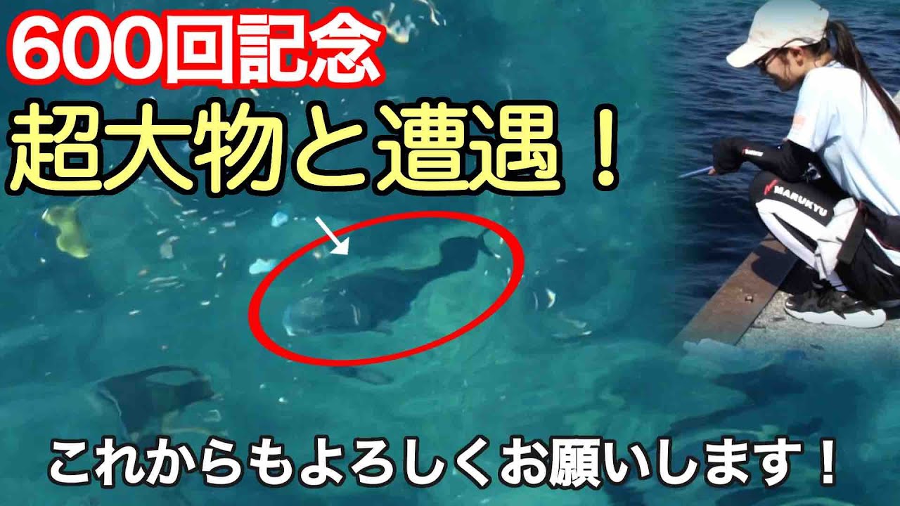 GO!GO!九ちゃんフィッシング #600　「祝600回はリゾートアイランド！ 初島で楽しむサビキ釣り」