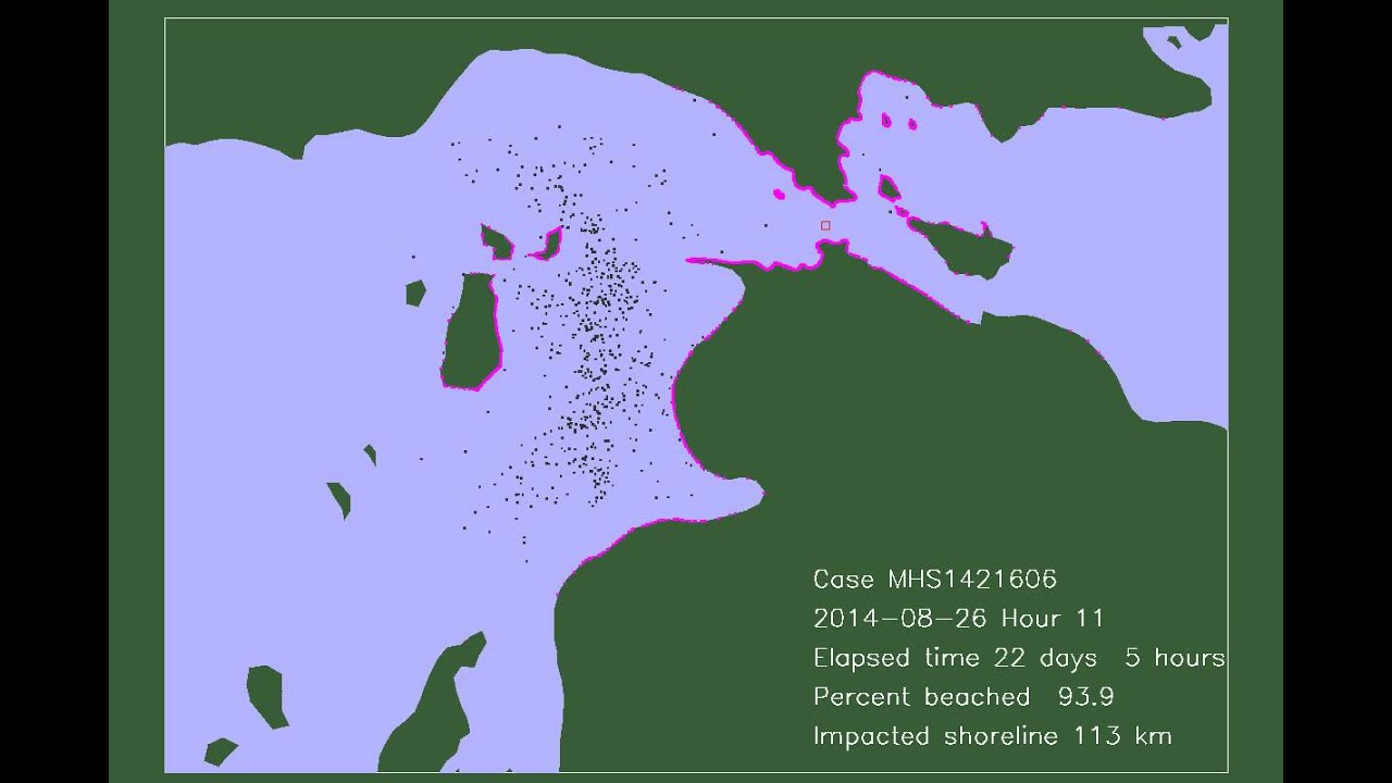 Oil Spill Case 6, 2016