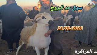 Download Lagu #سوق_حد_البروج 11/01/2026 جهة سطات مع ثمن 🐑🐏🇲🇦 MP3