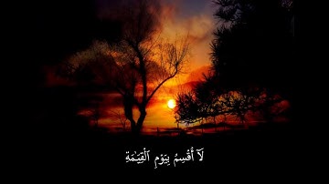 تلاوة تهتز لها القلوب للشيخ ياسر الدوسري سورة القيامة
