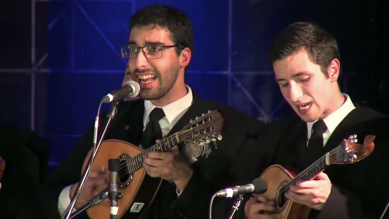 Tuna Universitária do Porto - Madalena (XX TUIST)