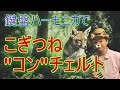 こぎつね&rdquo;コン&rdquo;チェルト/&rdquo;Fuchs, Du Hast Die Gans Gestohlen&rdquo; Concerto