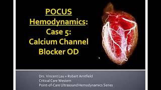 POCUS Hemodynamic Series Part 5: Calcium Channel Blocker Overdose by westernsono 3,607 views 6 years ago 7 minutes, 20 seconds