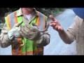 I Kissed a Snake and I.... (Rubber boa )