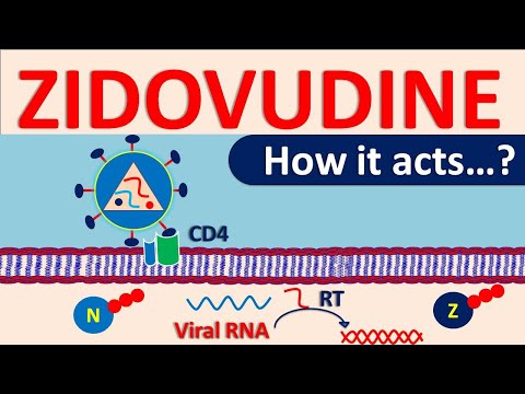 Video: Azidothymidine - Instruksjoner For Bruk, Legemiddelpris, Anmeldelser, Analoger