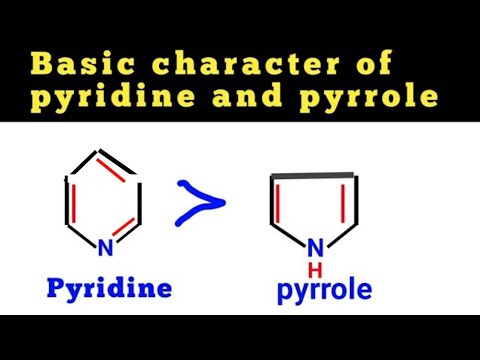 Basic character of pyridine and