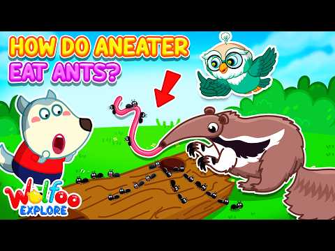 How Do Anteaters Eat Ants? 🐜🔍Wolfoo Explore - Animals | Educational Videos