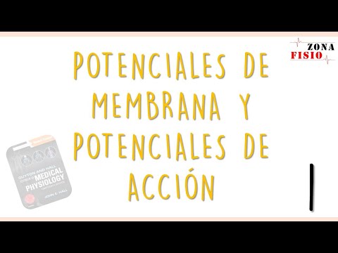 Video: ¿Qué es el cuestionario de potencial de membrana en reposo?