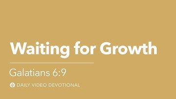 Waiting for Growth | Galatians 6:9 | Our Daily Bread Video Devotional