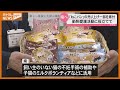 28万個売れた『ねこパン』…パン製造メーカーが売上の一部を宮城県に寄付「殺処分ゼロに協力」