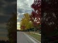 This is what Denver’s streets look like in the fall.