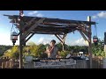 Tribal live looping  janax pacha  ephimera tulum