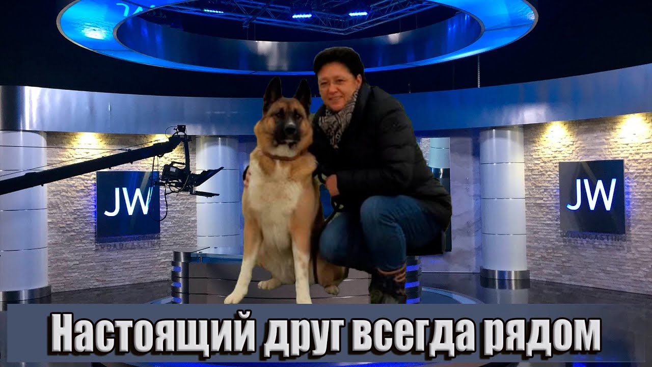 Неожиданные истории от Светланы! Друзья есть, но не там