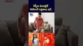 Kidney కడనల ఫయలత కనపచ లకషణల ఇవ..- Tv9