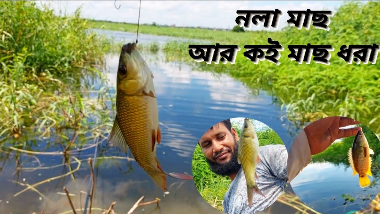 Fish Rashal রতনের খামারে শিকারির প্রচুর ভিড় ( পর্ব ১) #Hookfishing #Fishing #fish ...