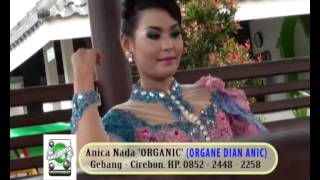 DIAN ANIC TERBARU 2013 - ULER SERIT