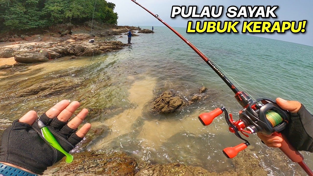 PULAU SAYAK Sarang Segala Kerapu!