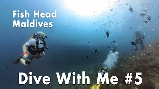 Dive Wit Me #5: Fish Head, Maldives (2024-01-16)