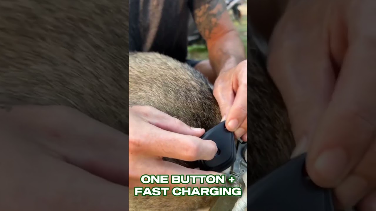 🔰 Itchguard™ - Ultrasonic Tick and Flea Repellent For Pets 🔊 🐾