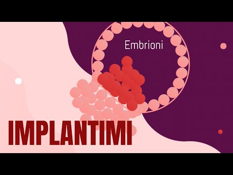 Video: Çfarë është implantimi në biologji?