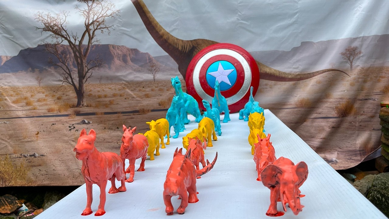 Cleaning animals cows, ducks, geese, chickens, elephants, lions, deer, cats,tigers,gorillas, panda,