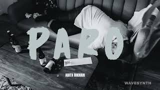 Aditya Rikhari - Paaro