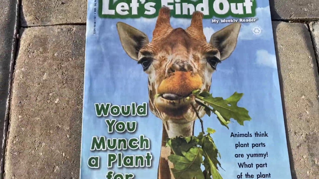 Scholastic Let s Find Out Would You Munch A Plant For Lunch YouTube Scholastic let s find out would you munch a plant for lunch youtube