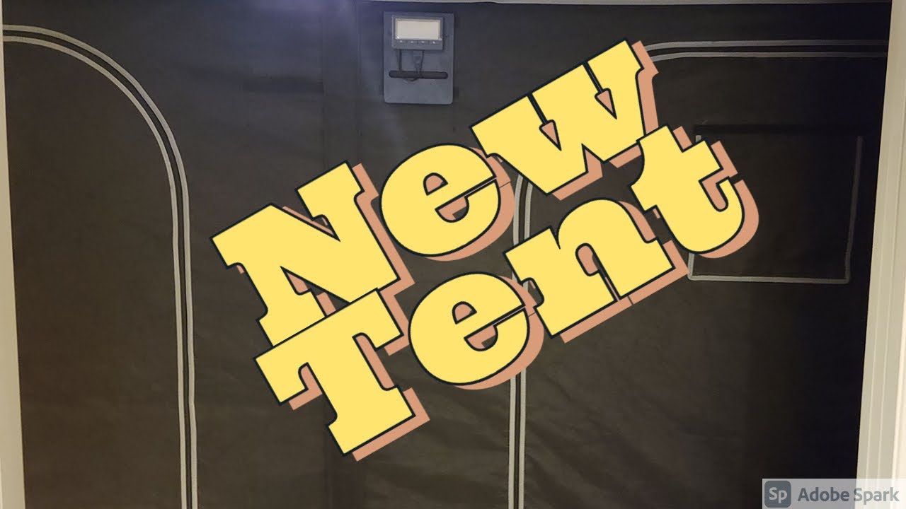New Tent 