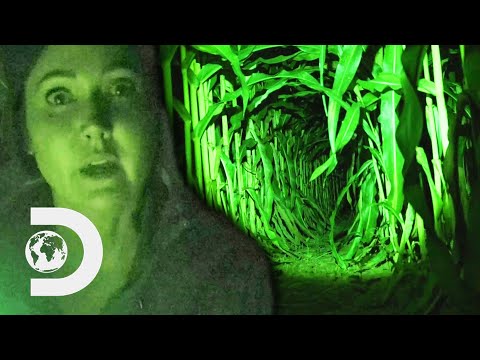 Investigators Communicate With The Legendary Bell Witch | Expedition X