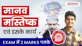 RRB ALP Science 🤩 Human Brain (मानव मस्तिष्क & इसके कार्य) | Exam में 2 Marks पक्के #sciencemagnet