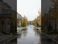 Peaceful Rainy Street Walk in Quiet Japan #Shorts