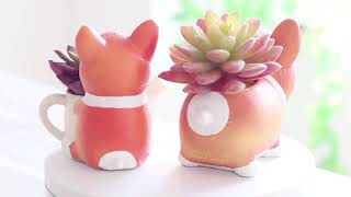 Corgi fleshy flower pot creative cartoon micro landscape decoration