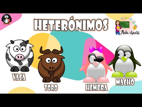 Video: ¿Cómo se escribe heterónimo?